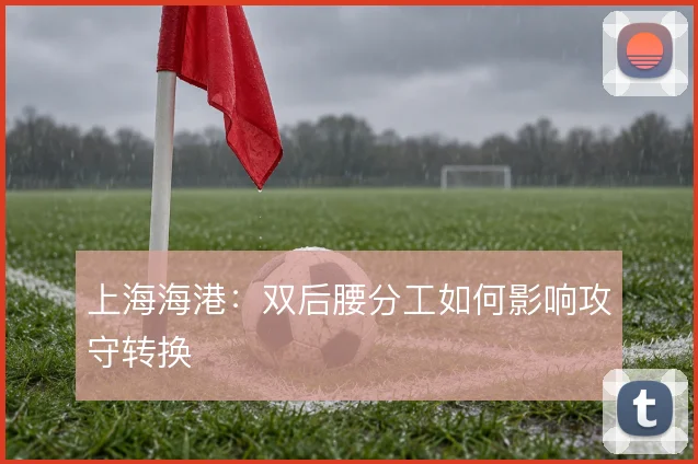 上海海港:双后腰分工如何影响攻守转换